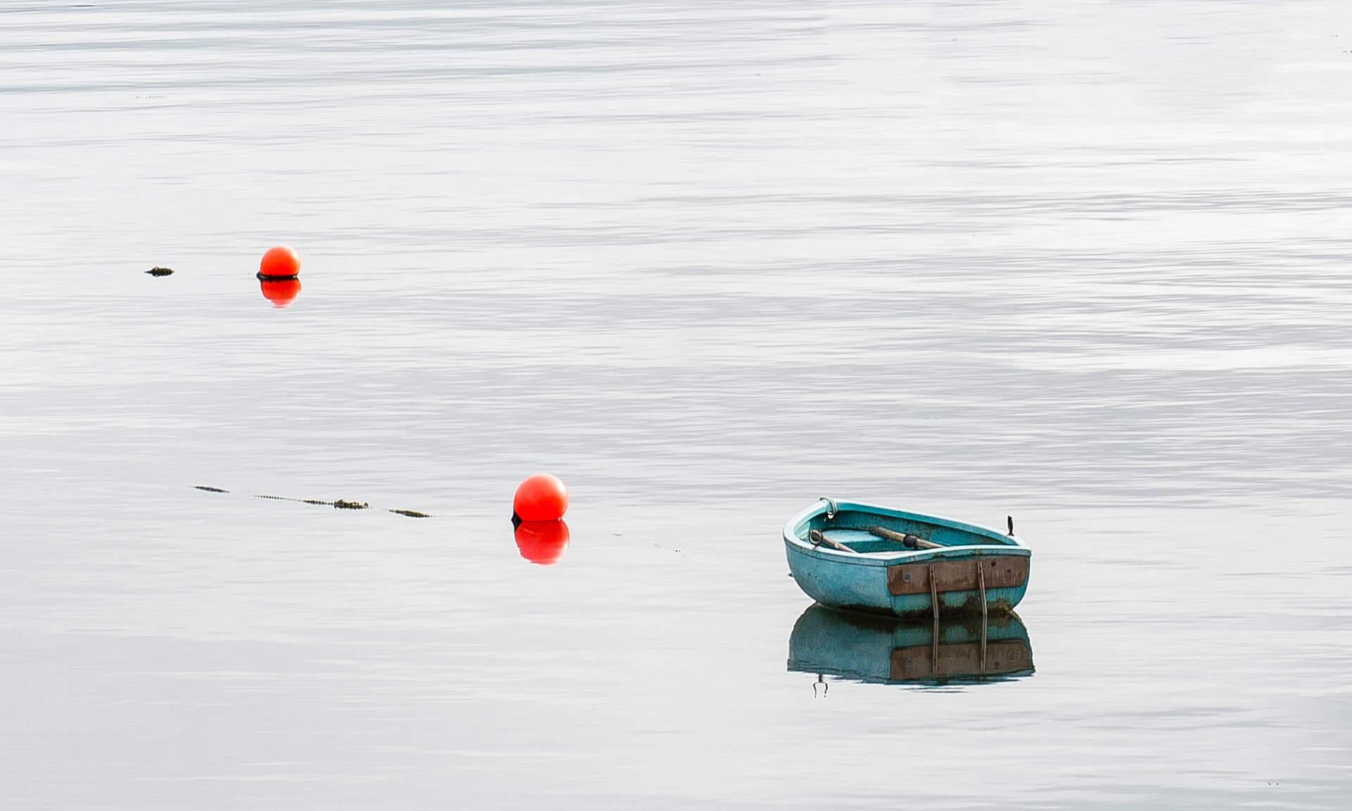 Bosville website, brand photography — a small blue boat on calm water.